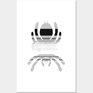 Tarantula Silhouette V123 (Horizontal) Posters and Art
